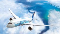 Trova voli economici su China Southern