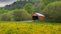 Trova voli economici per Vermont
