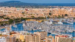 Noleggio di SUV a Palma di Maiorca