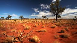 Elenchi di hotel a Yulara