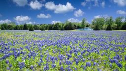 Hotel a Texas