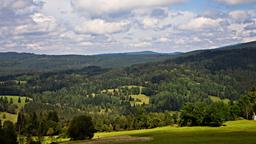 Hotel a Foresta bavarese