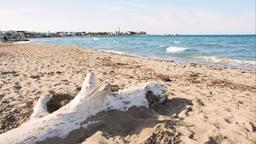 Hotel a Torre Canne