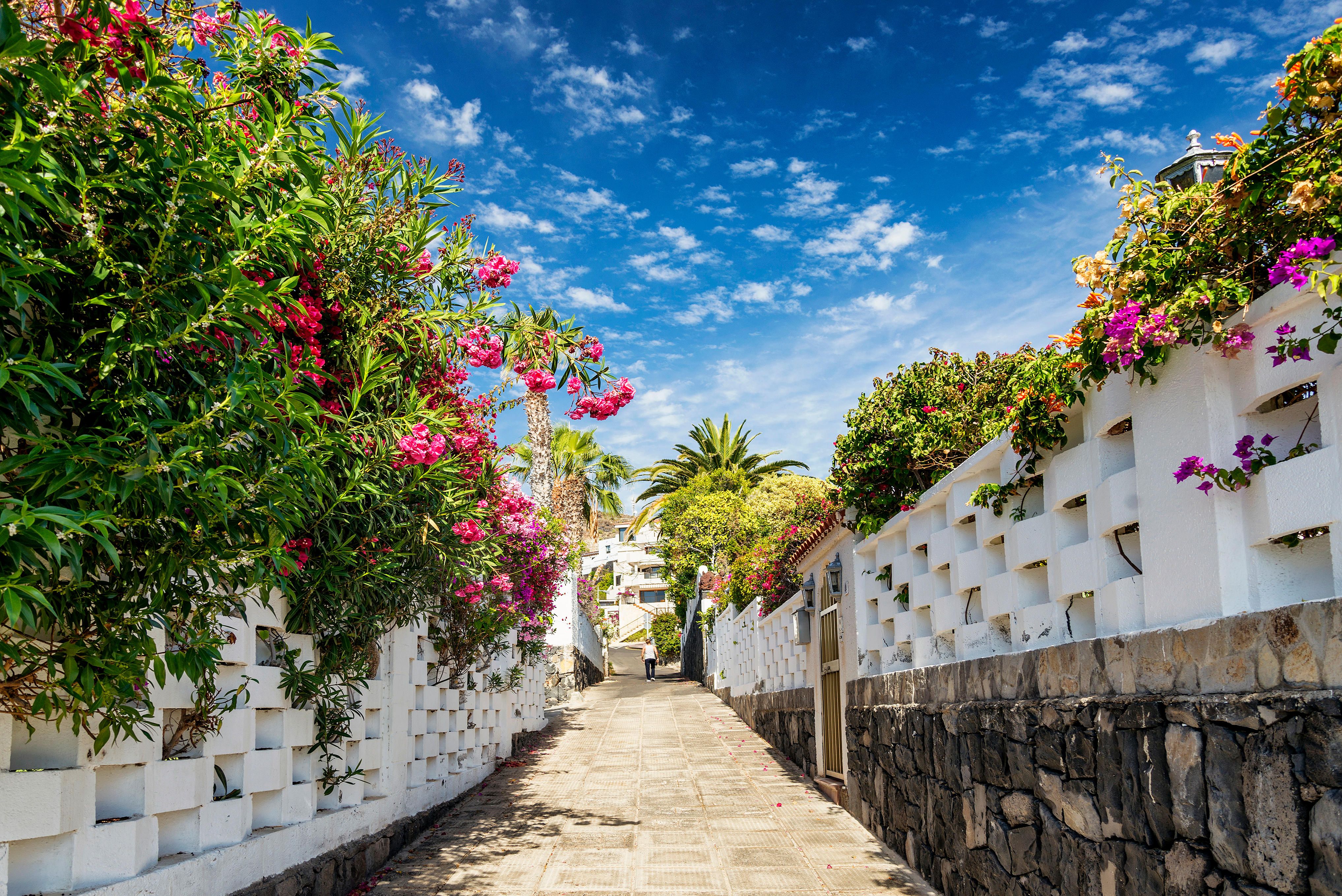 voli da verona per tenerife