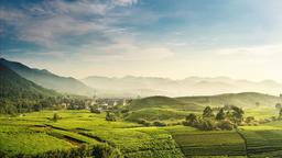 Trova voli low cost per Hangzhou