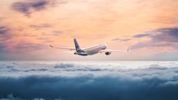 Trova voli economici su Scandinavian Airlines