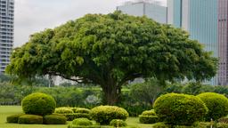 Hotel vicini a Aeroporto di Haikou Meilan Intl