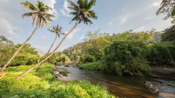 Hotel a Thrissur