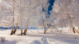 Trova voli low cost per Finlandia