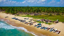 Trova voli economici per lo Sri Lanka