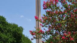 San Antonio hotel vicini a Tower of the Americas