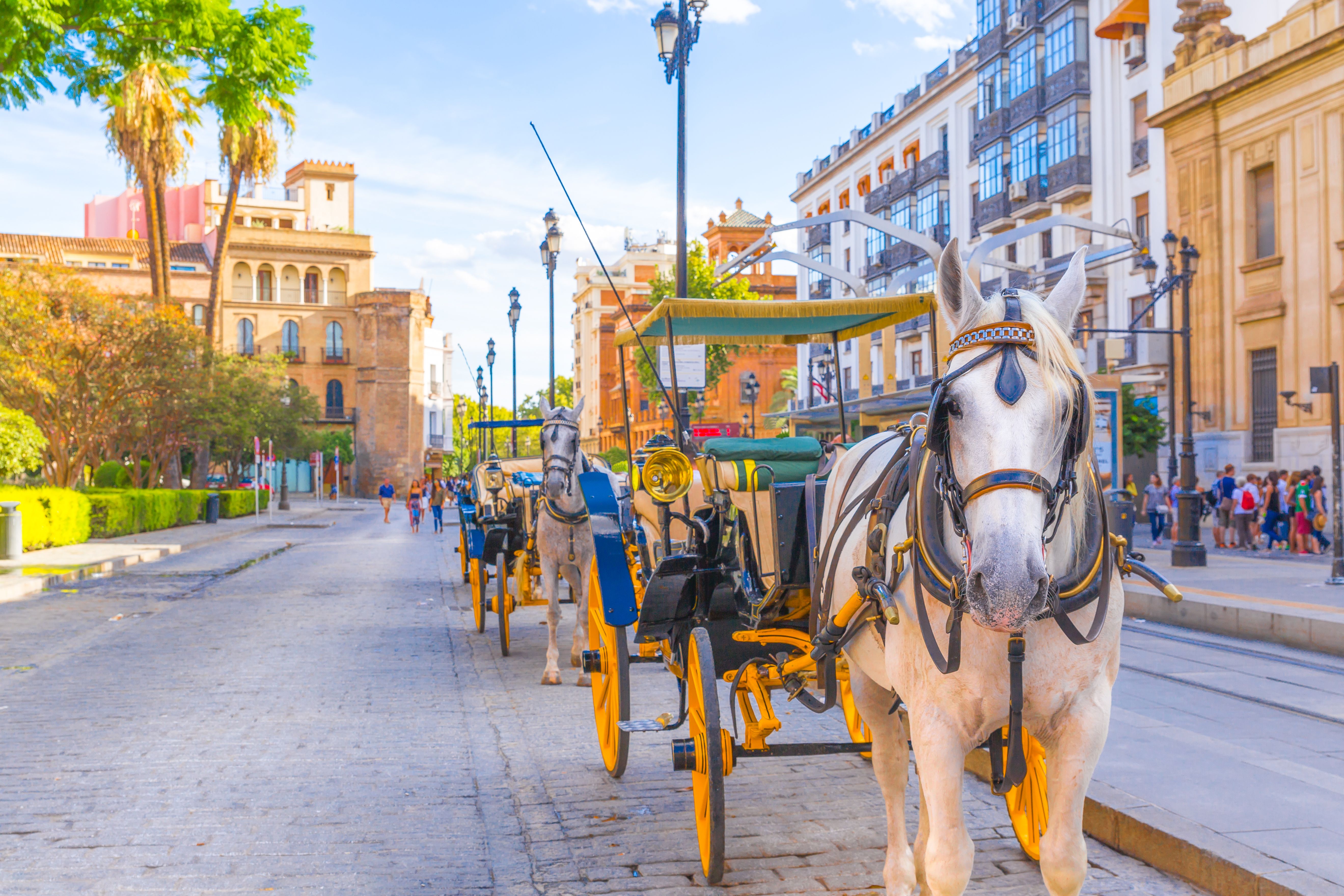 voli da roma a siviglia