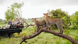 Trova voli low cost per Sud Africa