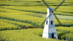 Trova voli low cost per Cina