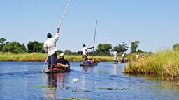 Trova voli low cost per Botswana
