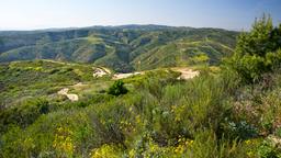 Trova voli low cost per Orange County