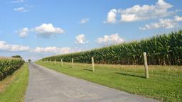 Trova voli low cost per Pennsylvania