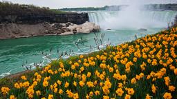 Hotel - Niagara Falls