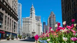 Case vacanza a Chicago