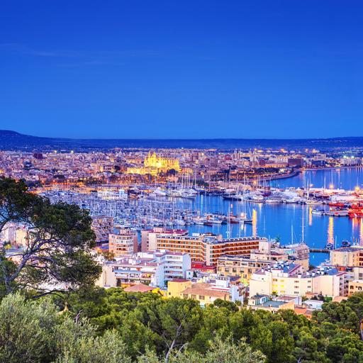 Palma di Maiorca