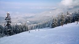 Trova voli low cost per Bulgaria