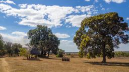 Trova voli economici per la Zambia