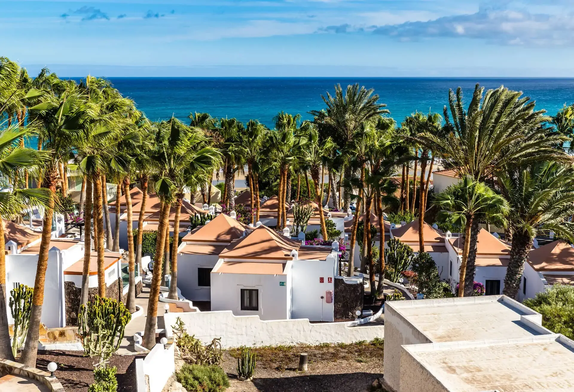 Fuerteventura Spagna