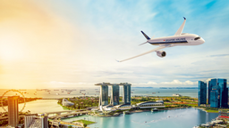Trova voli economici su Singapore Airlines