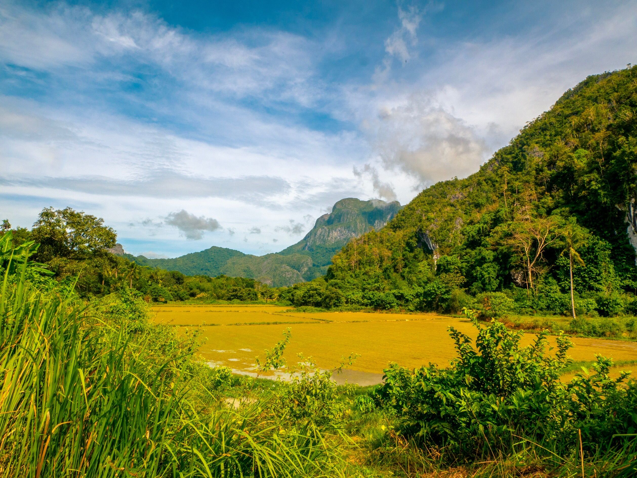 Trova voli low cost per Puerto Princesa