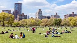 Trova voli low cost per New York