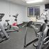 Palestra