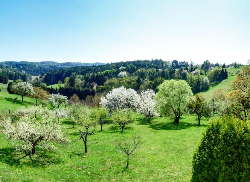 Vista esterna Foto