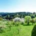 Vista esterna