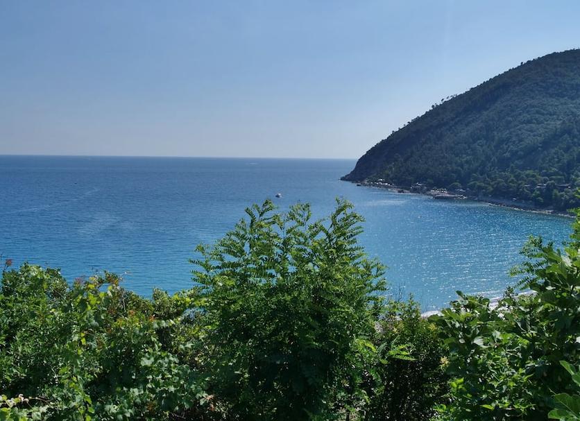 Altro Foto