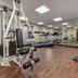 Palestra
