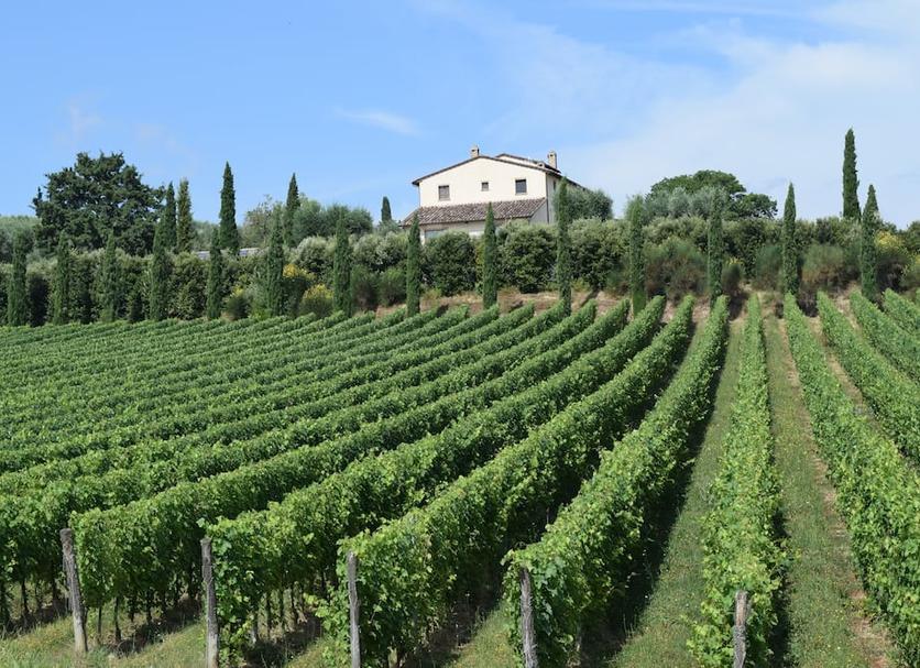 Vista esterna Foto