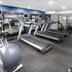 Palestra