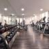 Palestra