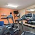 Palestra