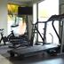 Palestra