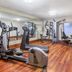 Palestra