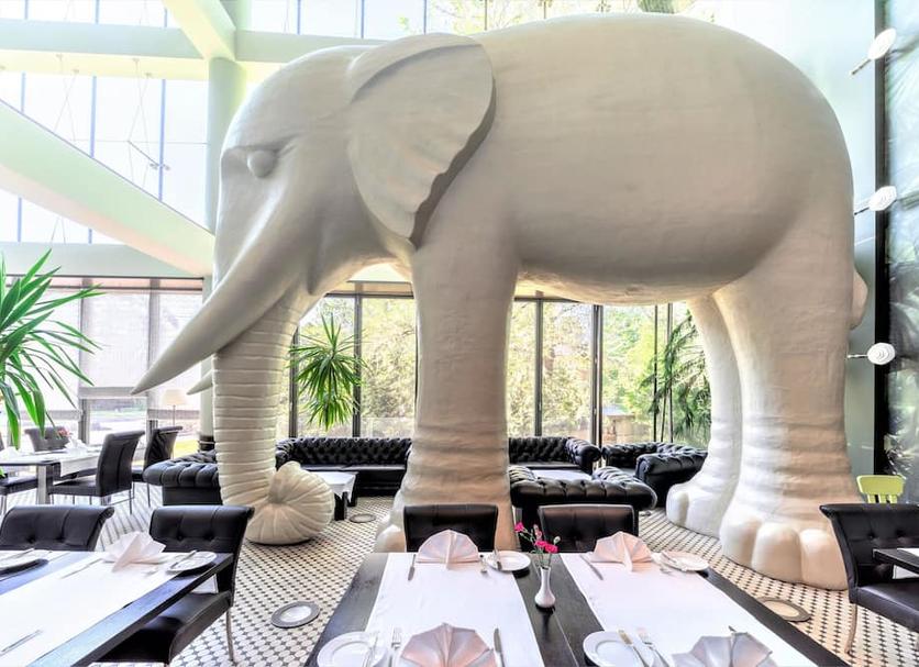 Ristorante Foto