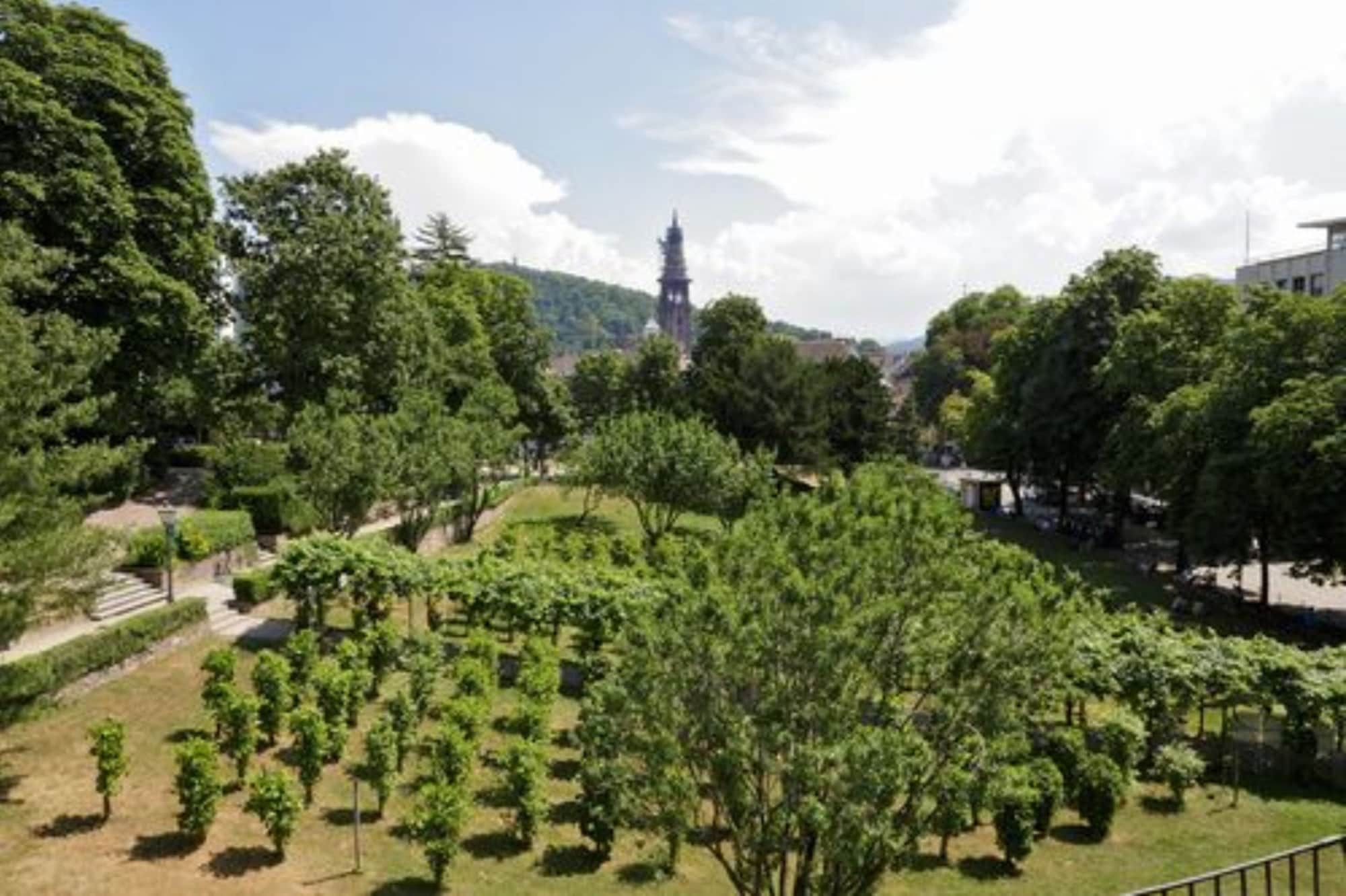 Vista esterna