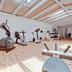 Palestra