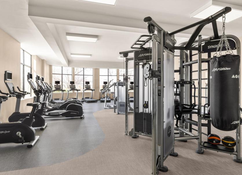 Palestra Foto