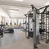 Palestra