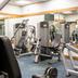 Palestra