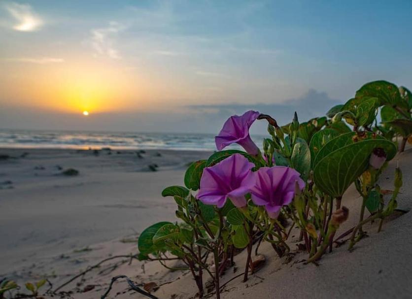 Spiaggia Foto