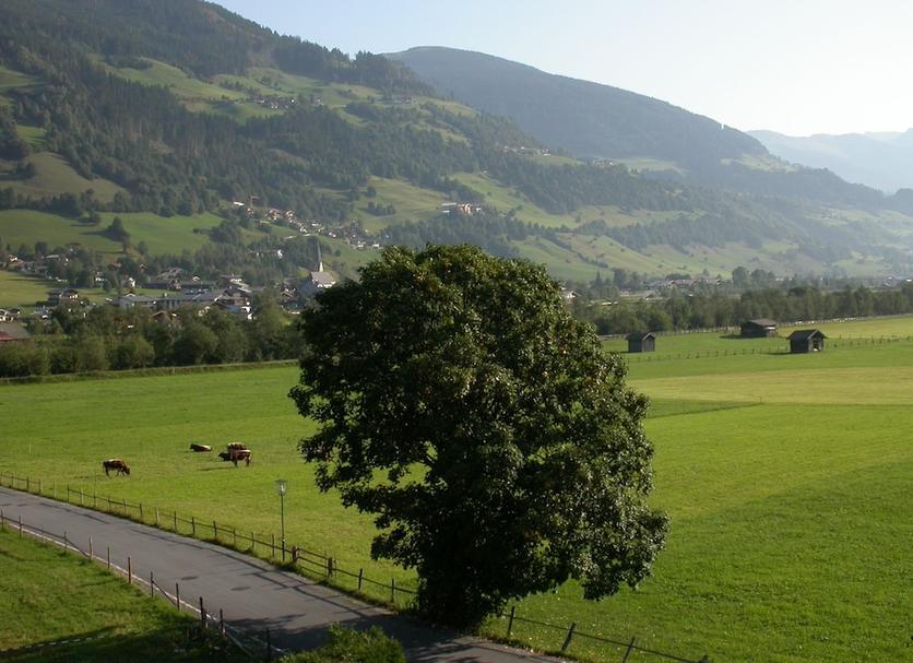 Vista esterna Foto