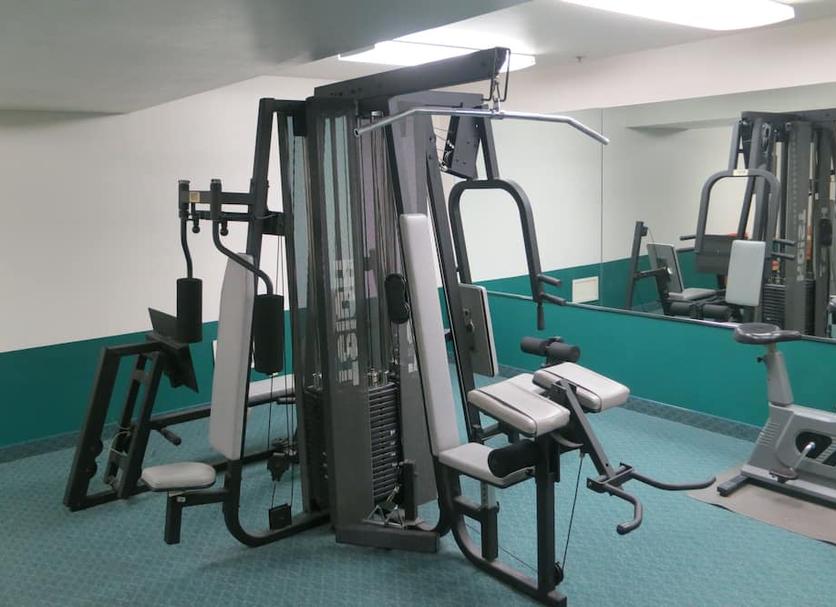 Palestra Foto
